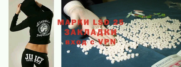 стаф Бородино
