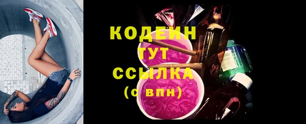 стаф Бородино