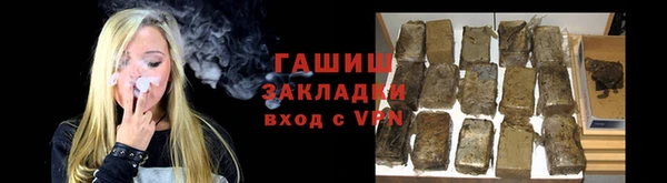стаф Бородино