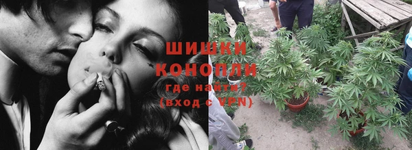 стаф Бородино
