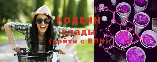 стаф Бородино