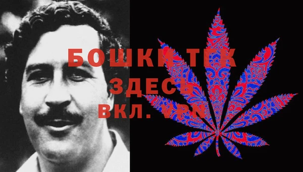 стаф Бородино