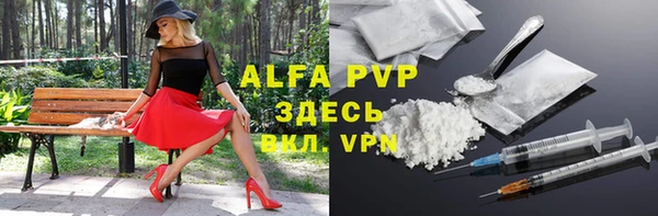 стаф Бородино