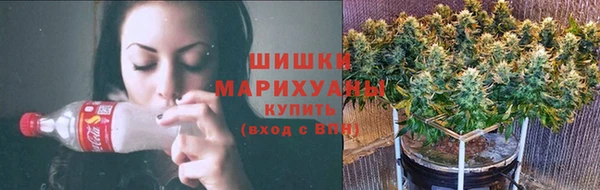 стаф Бородино