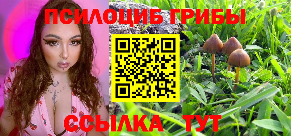 Ноябрьск  сколько стоит  Вход с VPN  Галлюциногенные грибы MAGIC MUSHROOMS 