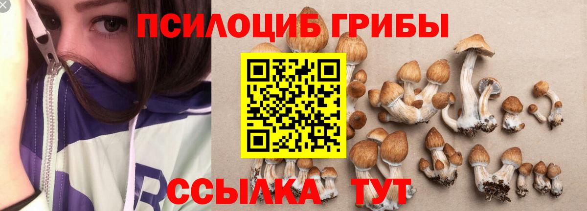 Псилоцибиновые грибы MAGIC MUSHROOMS Ноябрьск
